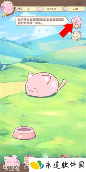 麻薯猫收藏