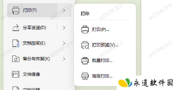 调整软件打印设置