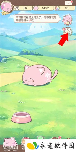 麻薯猫收藏