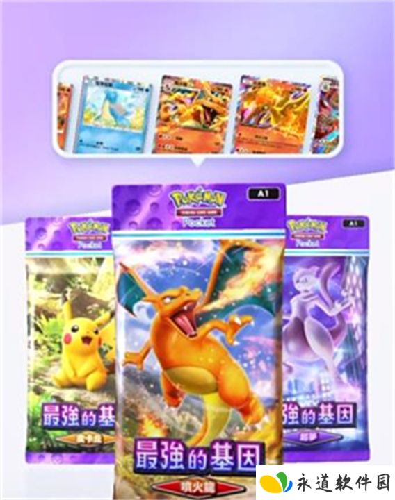 宝可梦TCG卡牌