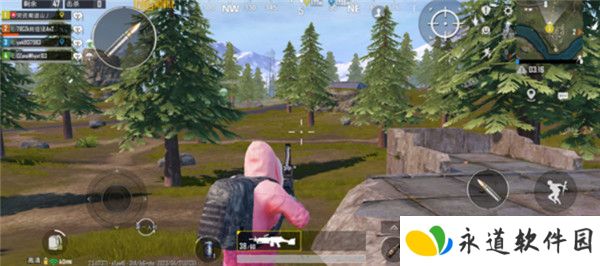PUBG2025截图