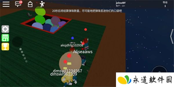罗布乐思2025