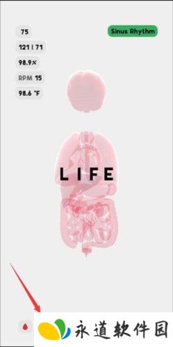 生命life
