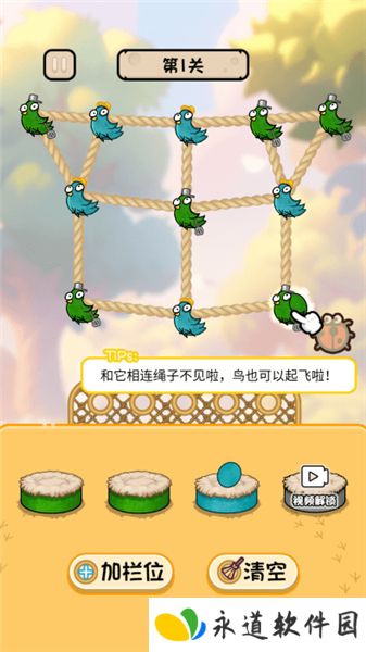鸡飞蛋不打2025