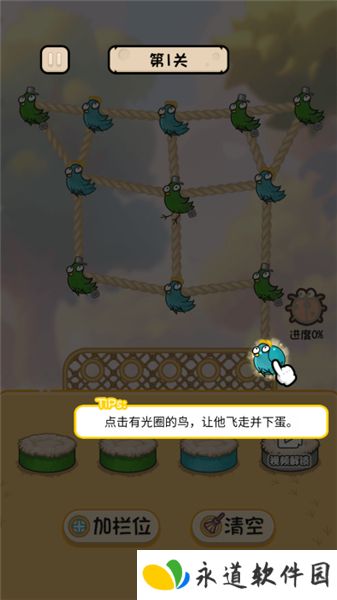 鸡飞蛋不打2025