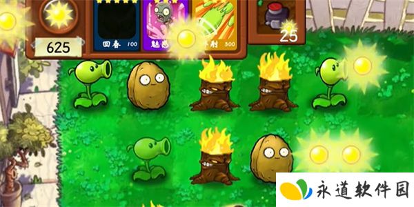 植物大战僵尸技能版