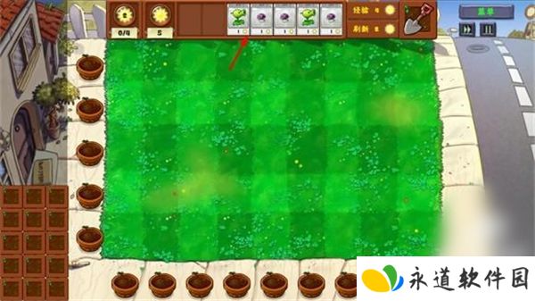 pvz金铲铲版