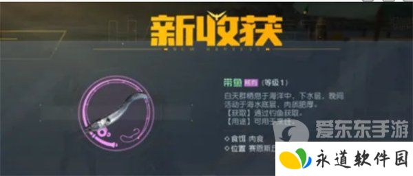 黎明觉醒生机钓鱼怎么钓 钓鱼攻略