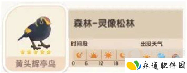 心动小镇黄头辉亭鸟在哪出没 黄头辉亭鸟位置