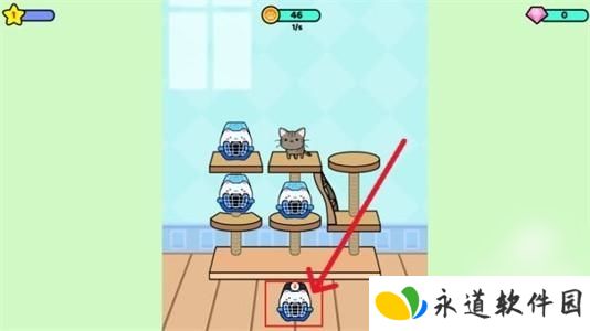 快乐撸猫