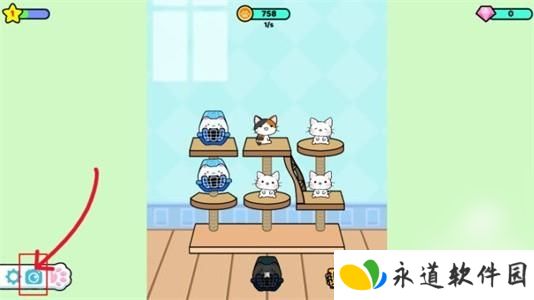 快乐撸猫