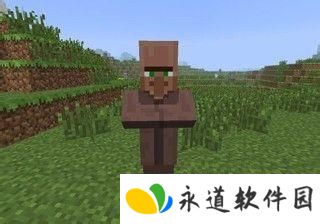 我的世界烦人的村民6.0