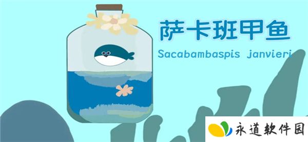 萨卡班甲鱼2025