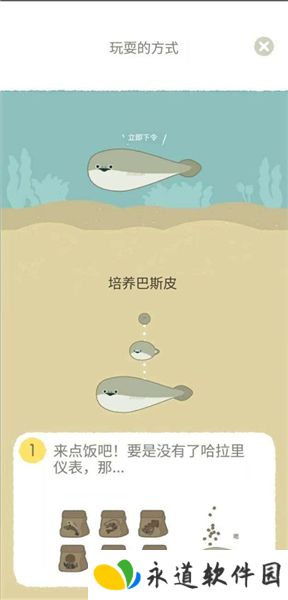萨卡班甲鱼2025