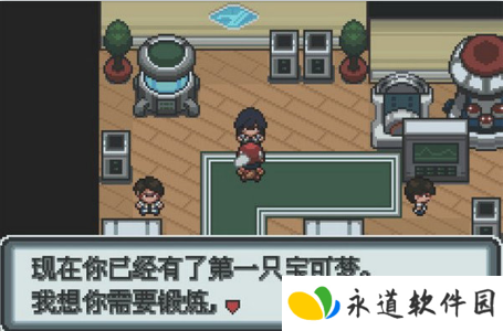 口袋妖怪白金