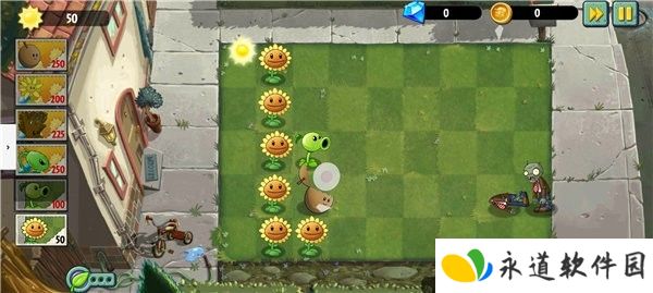植物大战僵尸异域探险多人版图片10
