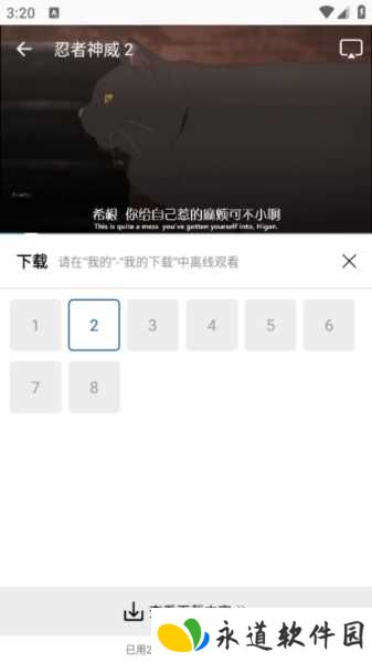 雪豹视频图片6