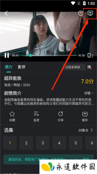 海鸥影评图片14